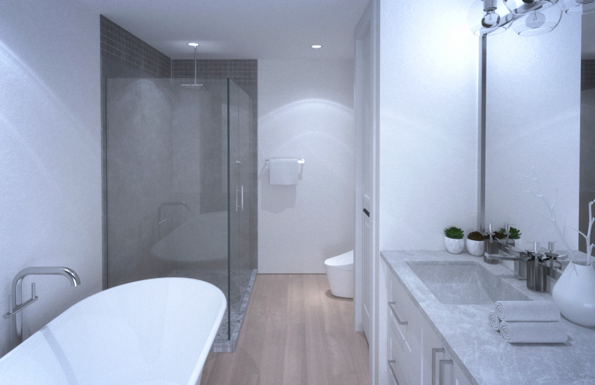 _3 Bath rough